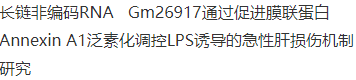 1646879087920039285.png
