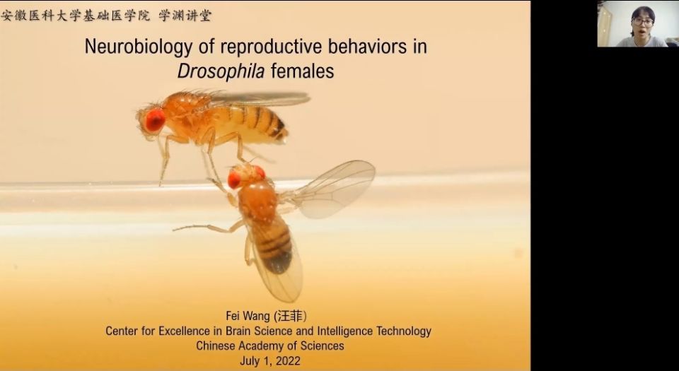 /crm/product/image/20220707/1657250308733097625.png 1657250308733097625.png